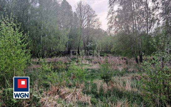Działka budowlana na sprzedaż Sikory
